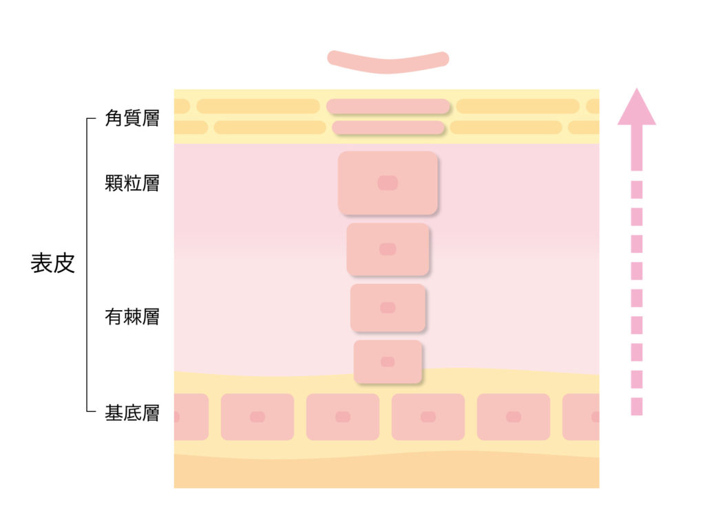 コンテンツへスキップ 19年12月10日 年1月17日 Pr この記事は2分で読めます 30歳を過ぎてたからスキンケアを徹底しても ポツポツと年々増えていくシミ 女性が気になる肌トラブルで シミへの悩みがダントツに多いんです 画像は